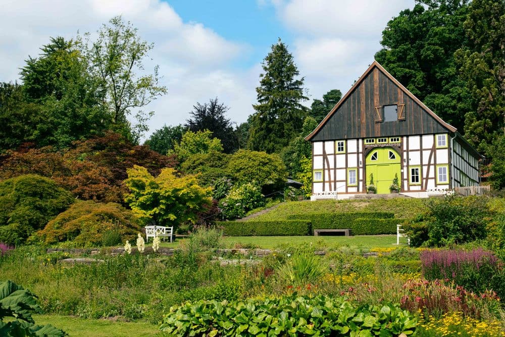 Kostenloses Naturerlebnis in Bielefeld: Der Botanische Garten direkt neben Olderdissen